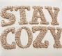 Stay Cozy Teddy Faux Fur Applique Pillow Cover
