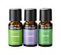 Apothecary Essential Oil Set