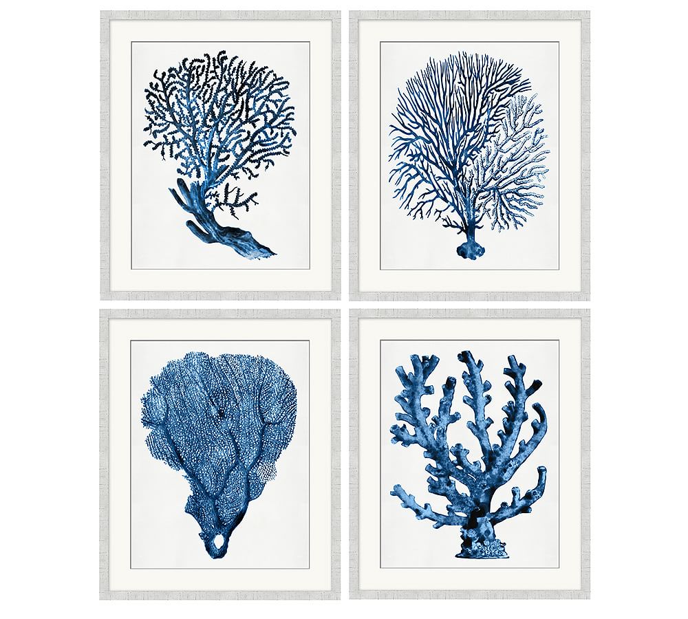 Coral in Blue Framed Prints