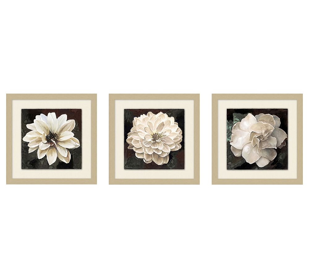 White Flower Prints
