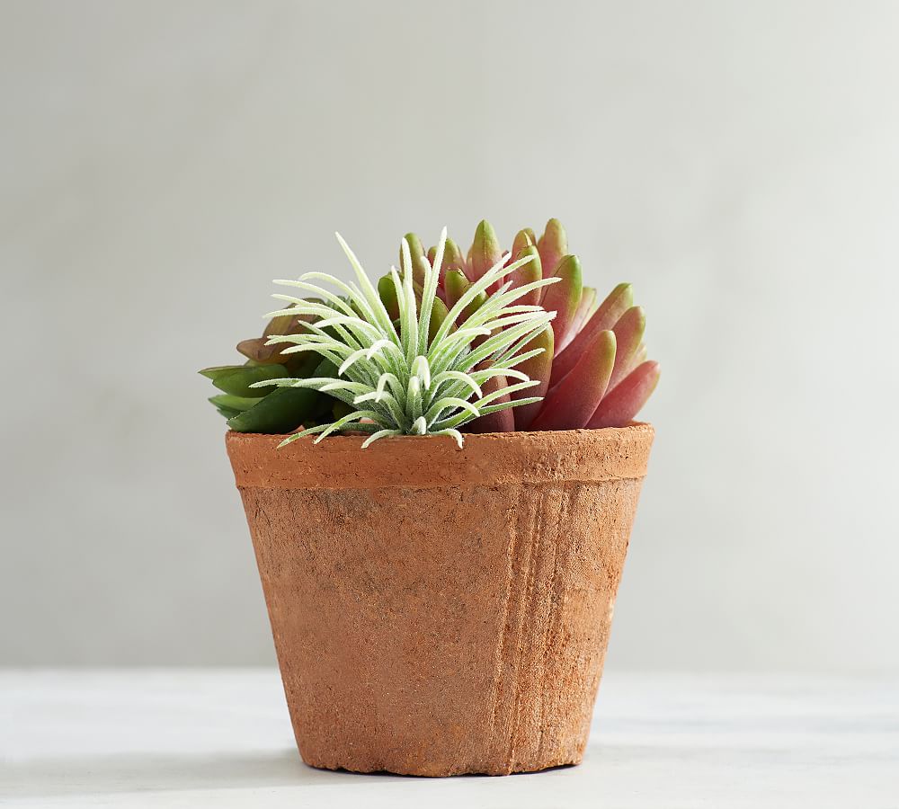 Faux Potted Red Succulent &amp; Air Plant