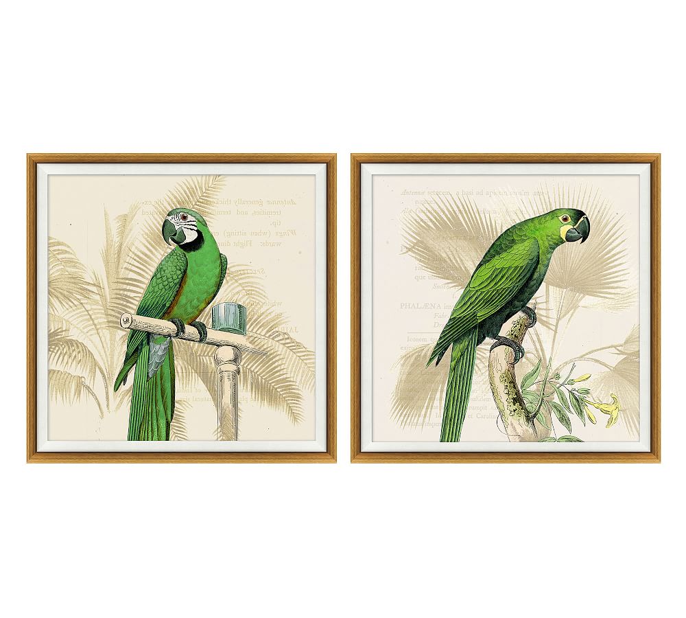 Green Parrots