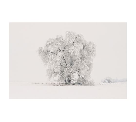 Winter Tree Framed Print by Jennifer Meyers | Pottery Barn