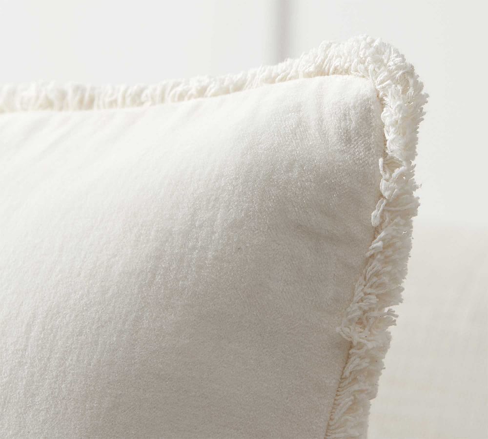 Pottery barn shop fringe velvet pillow