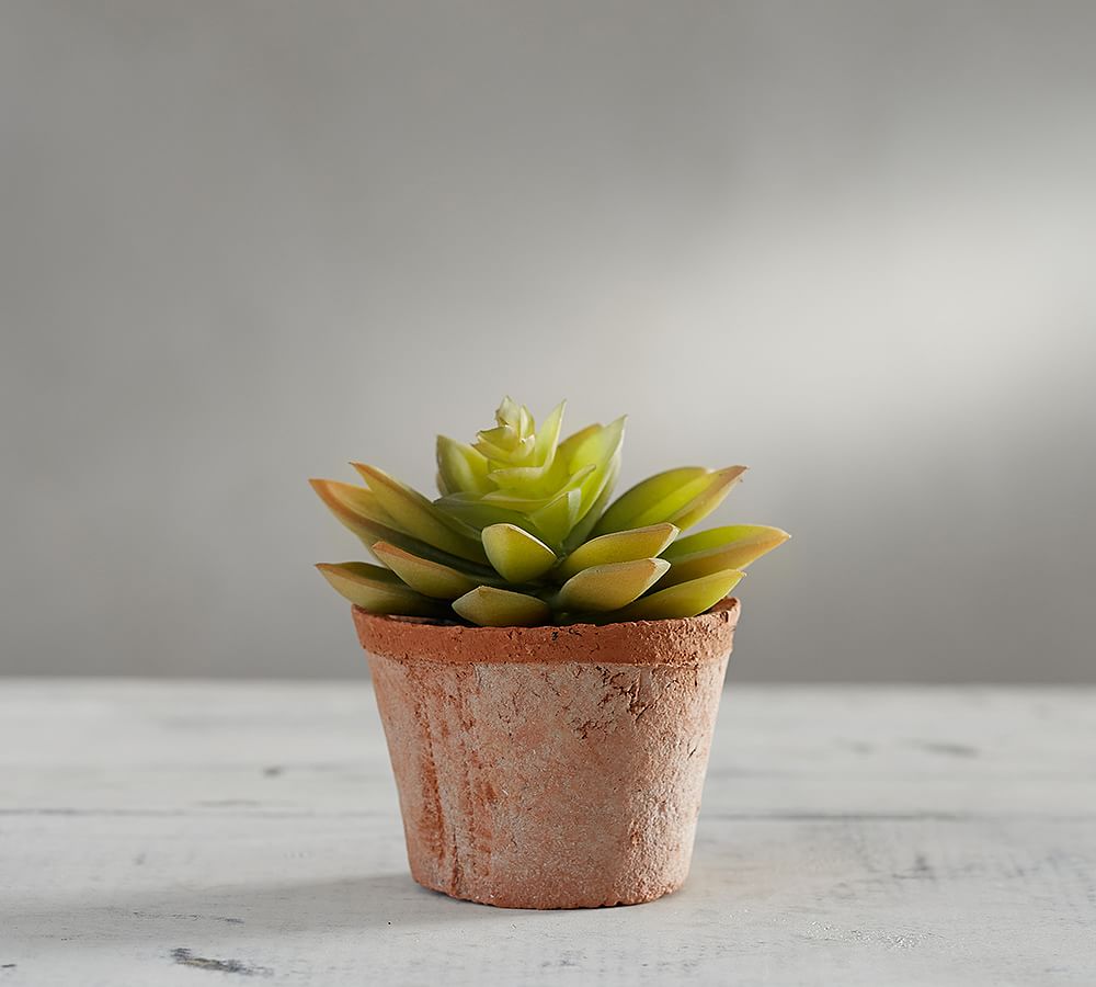Faux Mini Potted Succulent