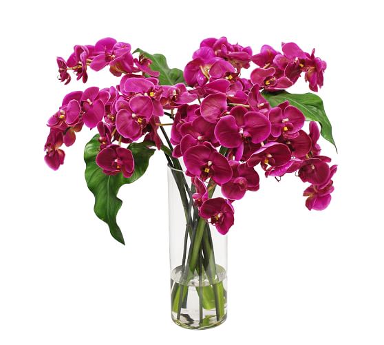 Faux Phalaenopsis Orchid in Slim Cylinder Vase Artificial Flowers