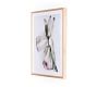 Expanded Blossoms Framed Prints by Amy Bautz