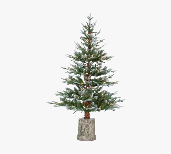 Lit Natural Cut Frosted Pine Faux Christmas Tree Pottery Barn