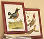 Framed Antique Bird Prints, Set of 2