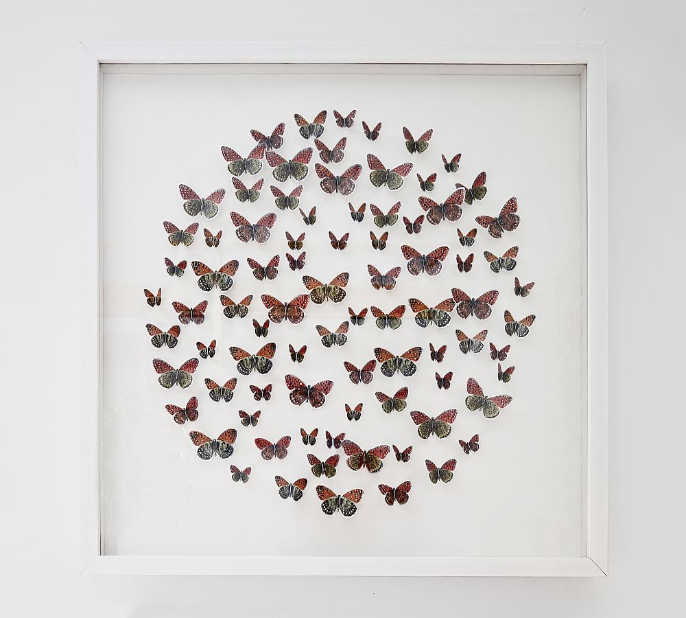 Butterfly Printed Wall Art