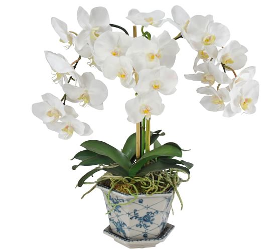Faux Orchid in Cachepot Artificial Flowers Pottery Barn