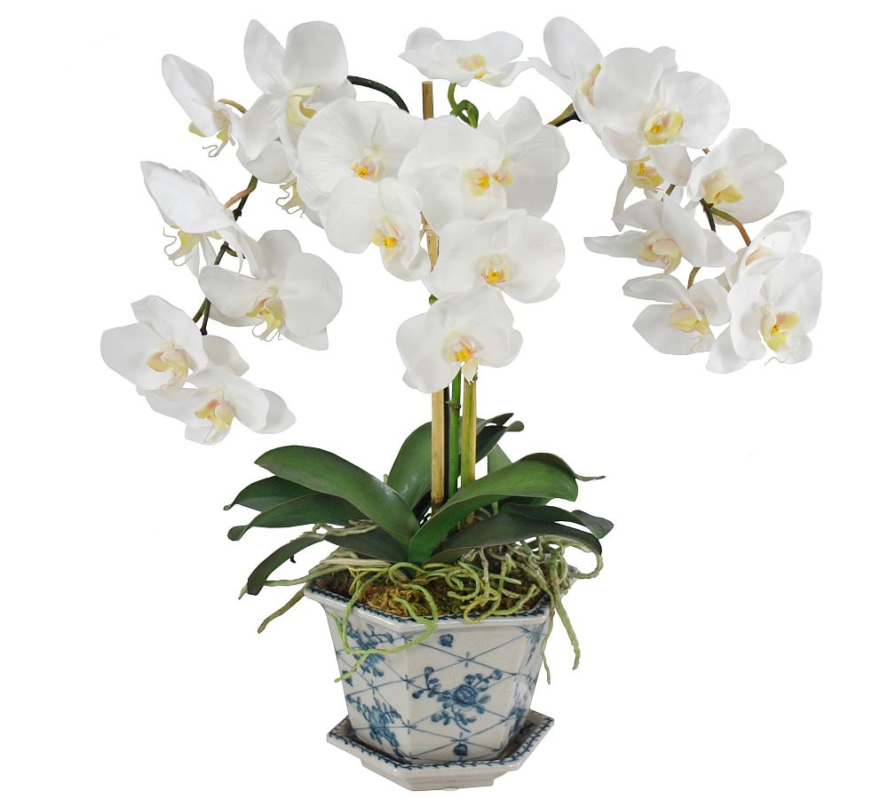 Faux Orchid in Cachepot
