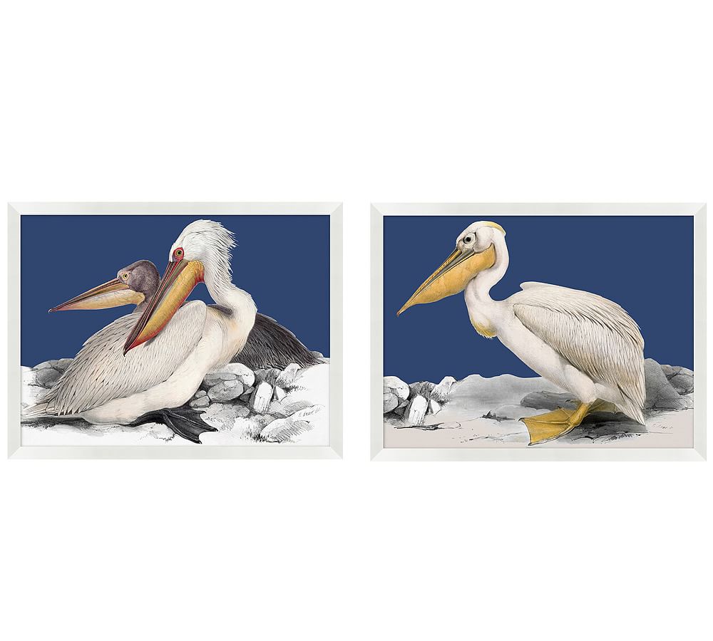 Pelican on Blue Print