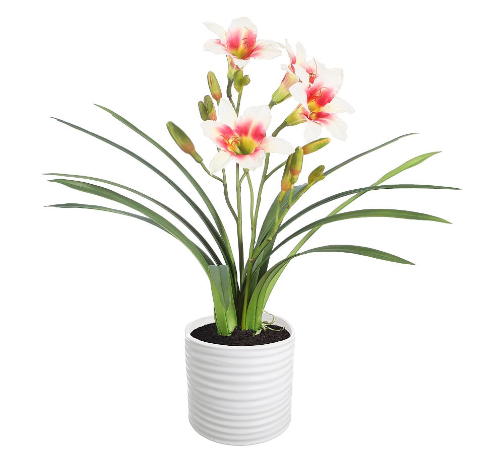 Faux Lily in White Pot