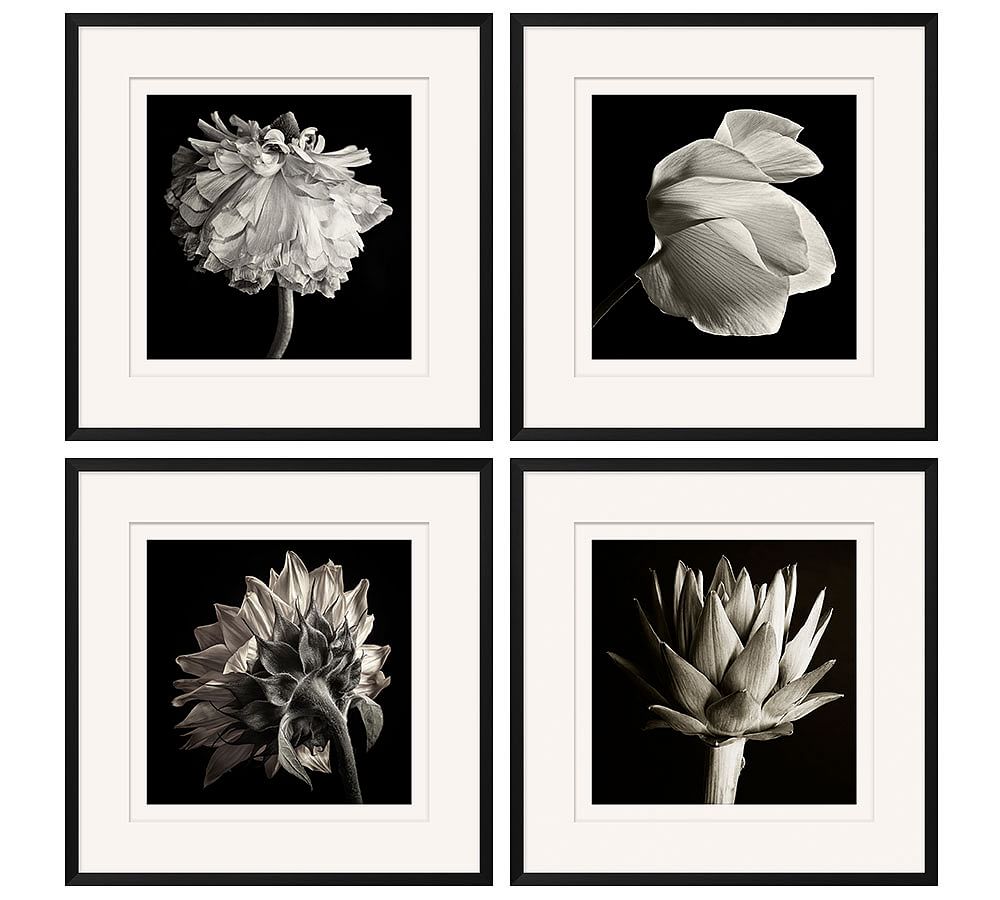 Flower Black &amp; White Framed Print