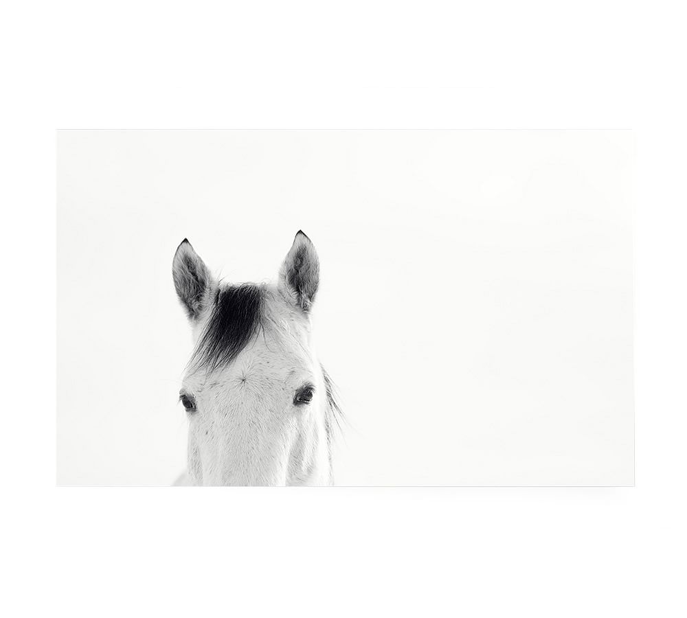 Modern White Horses by Jennifer Meyers