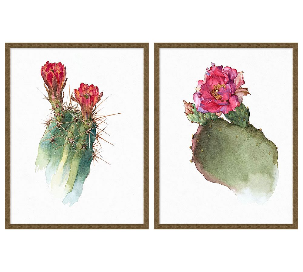 Tucson Bloom Framed Prints