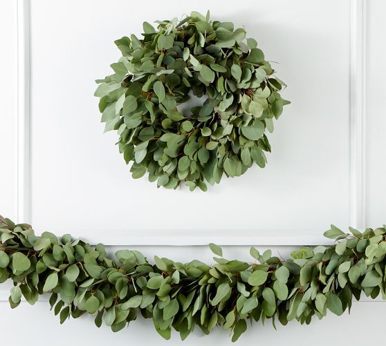 Fresh Silver Dollar Eucalyptus Wreath & Garland Pottery Barn