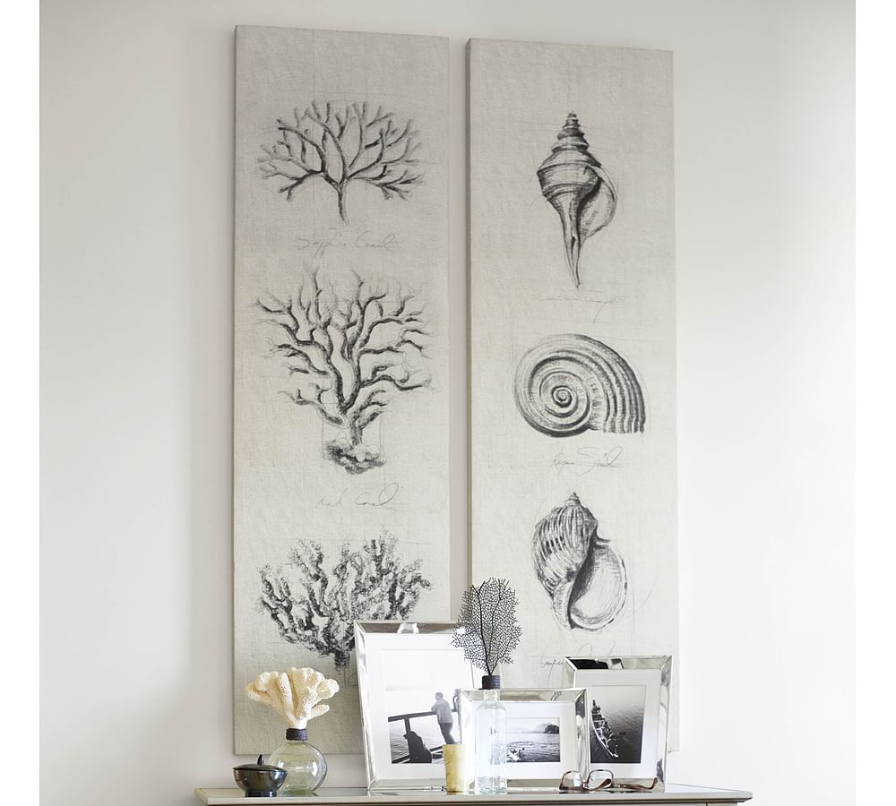 Coral &amp; Shell Canvas