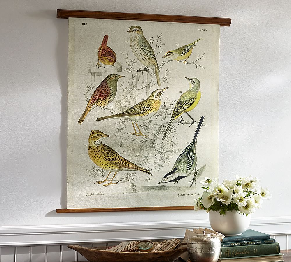 Vintage Inspired Ornithology Collection Educational Chart