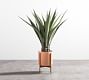 Faux Potted Agave Plant