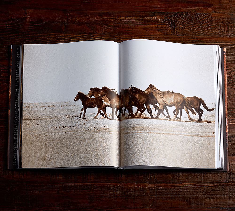 The Wild Horses of Sable Island by Roberto Dutesco