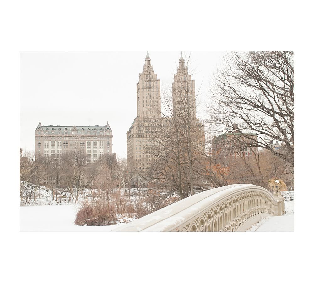 Central Park In The Snow By Rebecca Plotnick