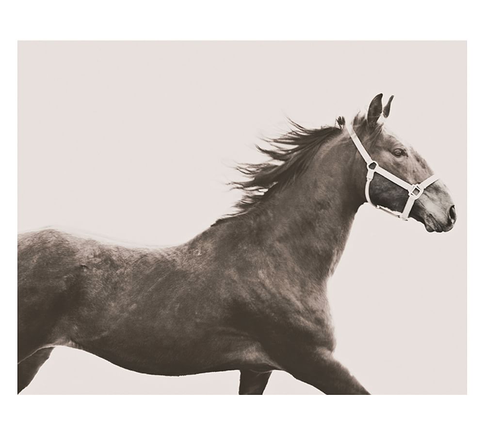 Vintage Horse Framed Print by Jennifer Meyers