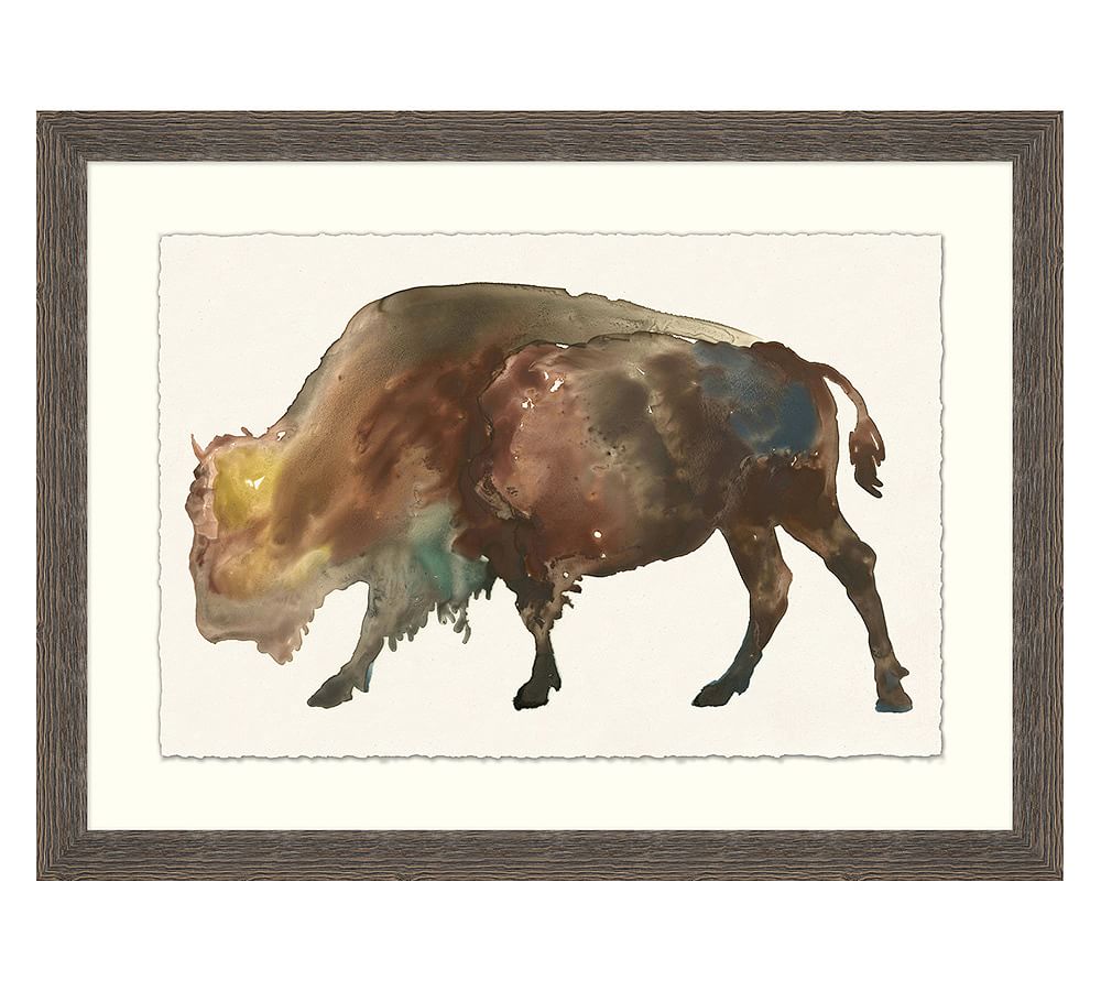 Buffalo Impression Framed Print