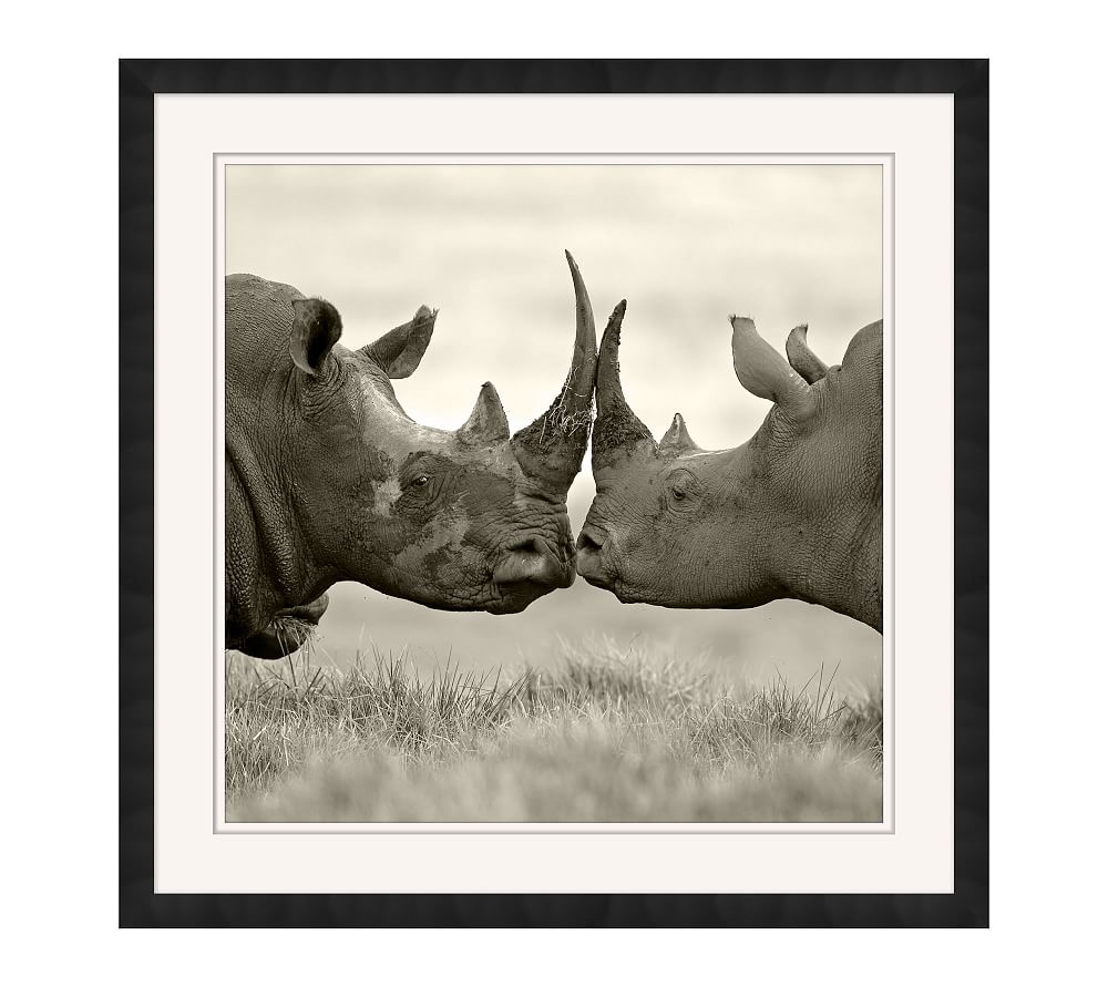 Safari Rhino Framed Print
