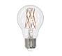 A19 Filament LED Bulb - Pack of 2