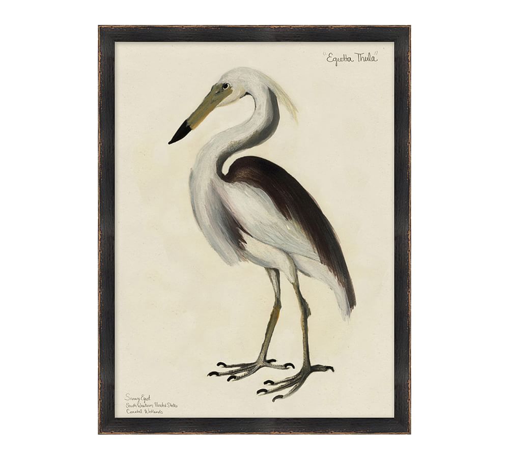 Snowy Egret Print