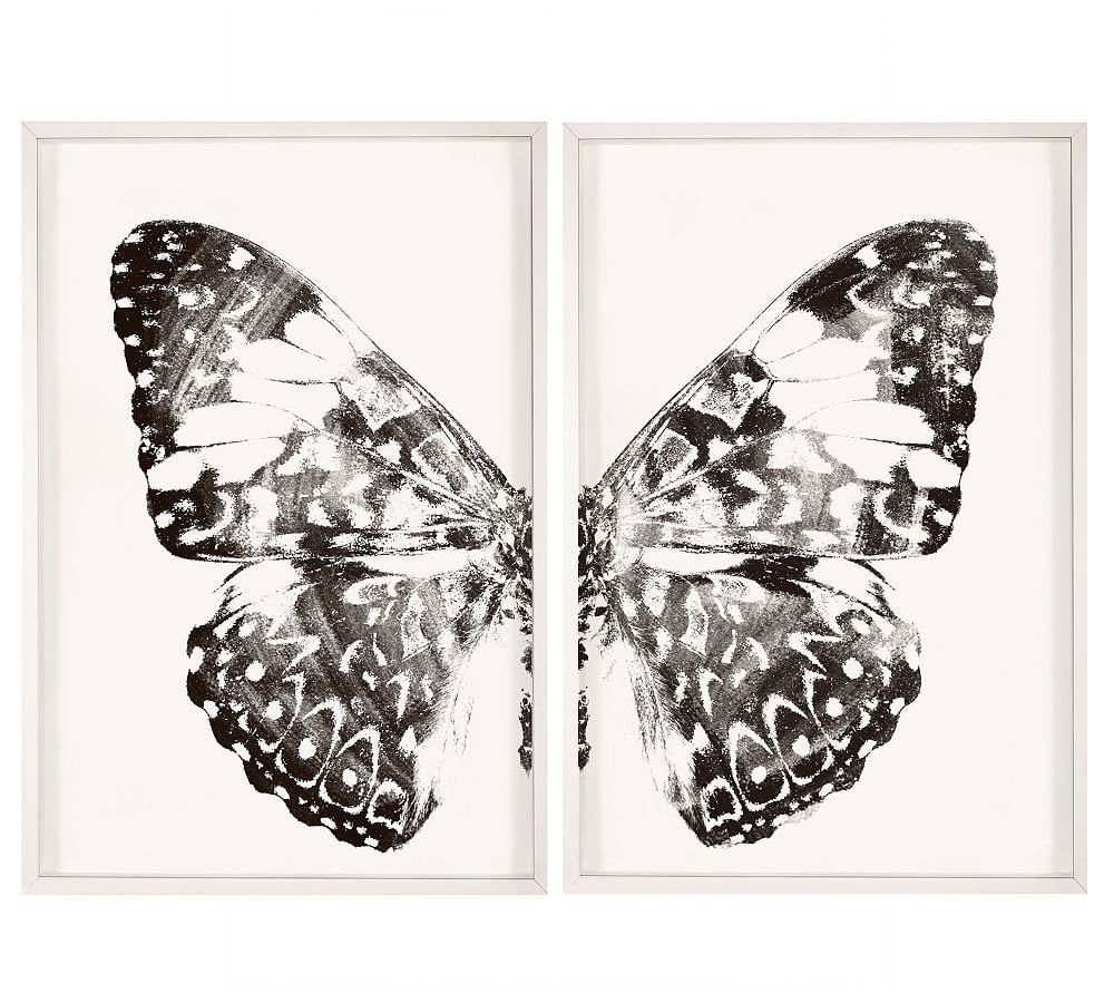 Nature Wings Framed Prints