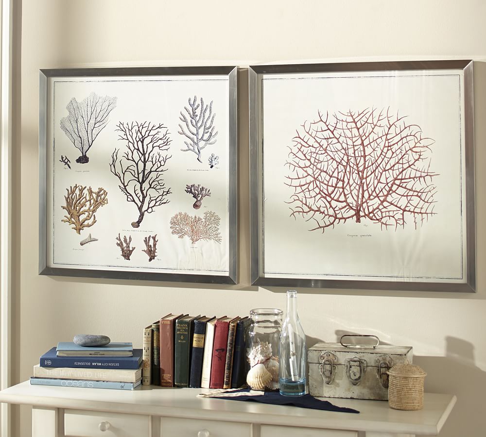 Framed Coral Prints