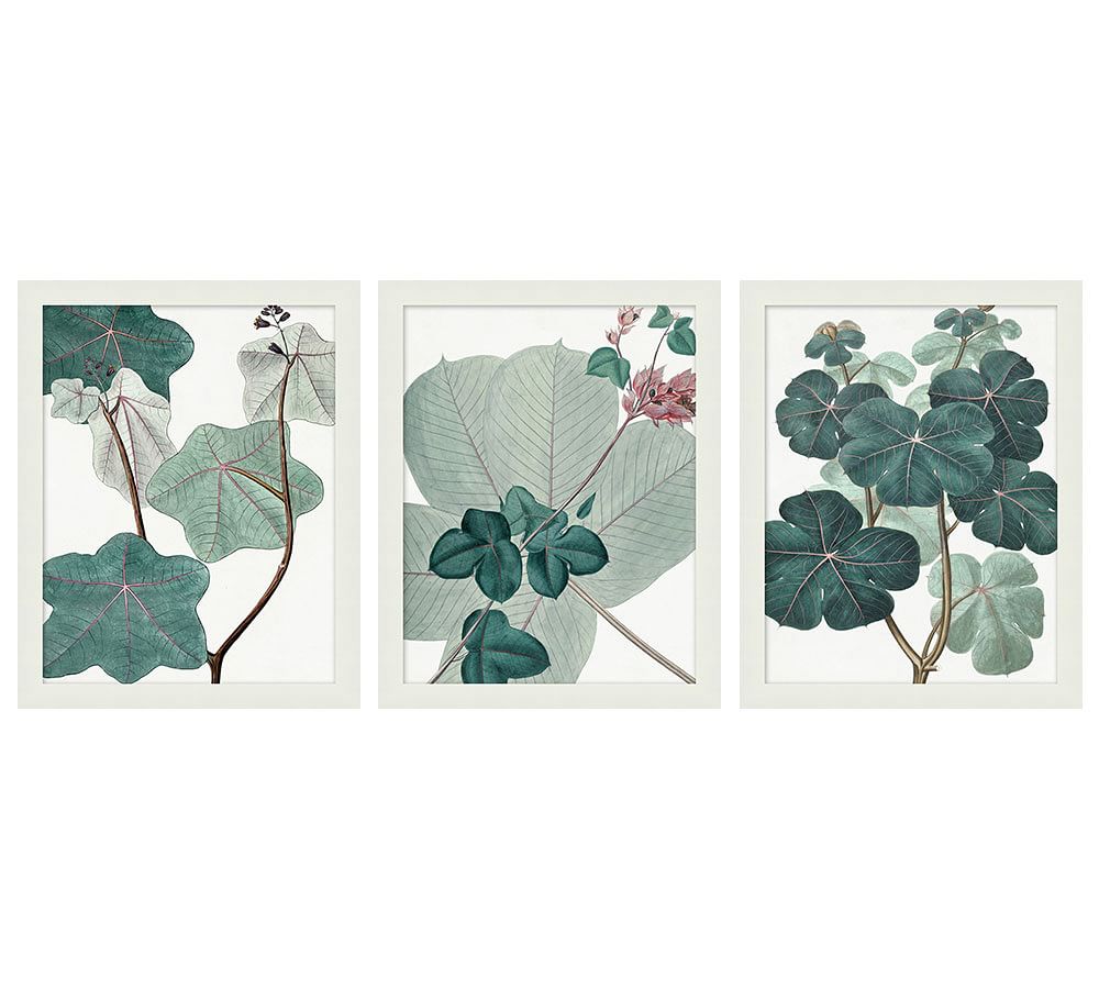 English Garden Framed Print, Set of 3, 16 x 20