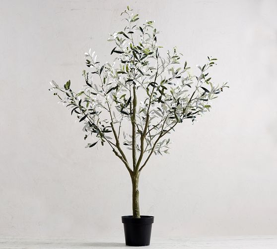 Faux Olive Tree Pottery Barn