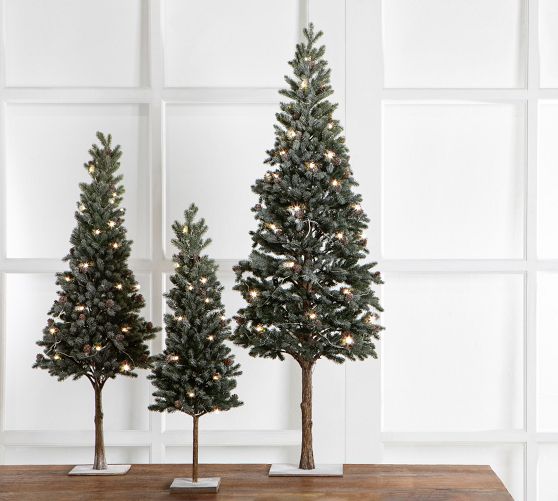 Lit Snowy Pine Artificial Christmas Tree Pottery Barn