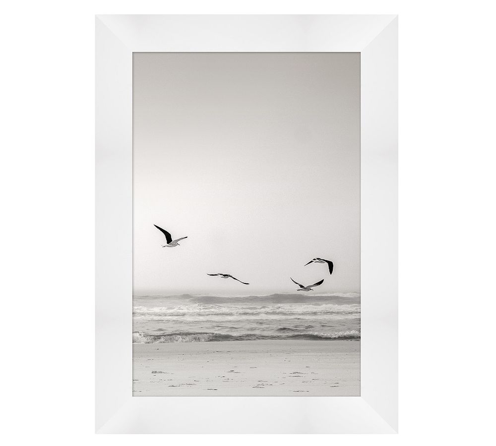 Black &amp; White Beach Flight Framed Print