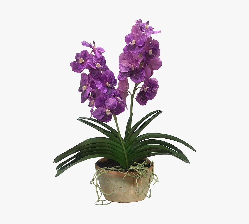 Faux Vanda Orchid In Pot