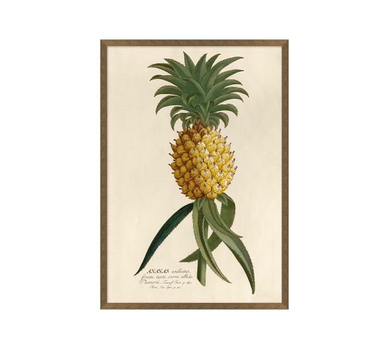Ananas Framed Print