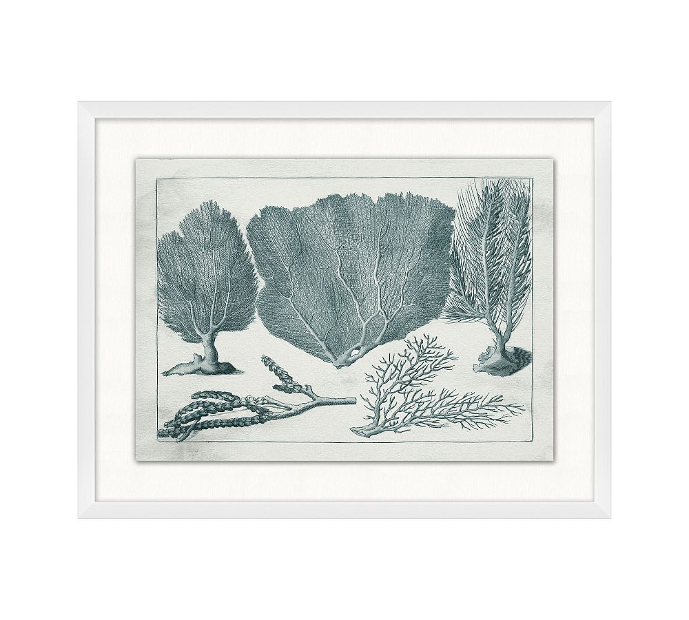 Ocean Flora Framed Print