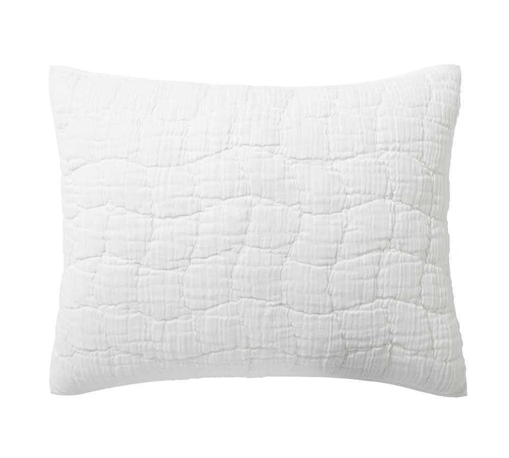 Cloud Quilted Sham: Standard