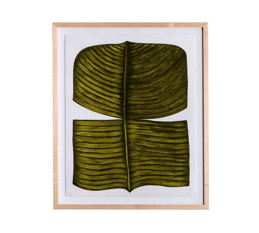 Ficus Elastica Tribus Framed Prints by Marianne Hendriks
