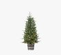 Lit Potted Faux Natural Cut Hudson Pine Tree with Red Berries
