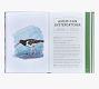 Birds An Illustrated Field Guide By Alice Sun &amp; June Lee Leather-Bound Book