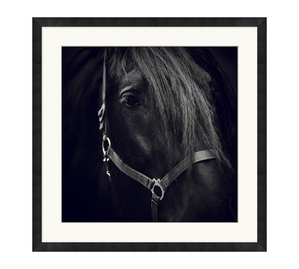 Dark Horse Framed Print