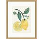 Summer Citrus Framed Print