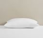 King Lounger Feather Pillow Insert - Set of 2