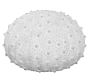 Decorative Lit Frosted Glass Sea Urchin