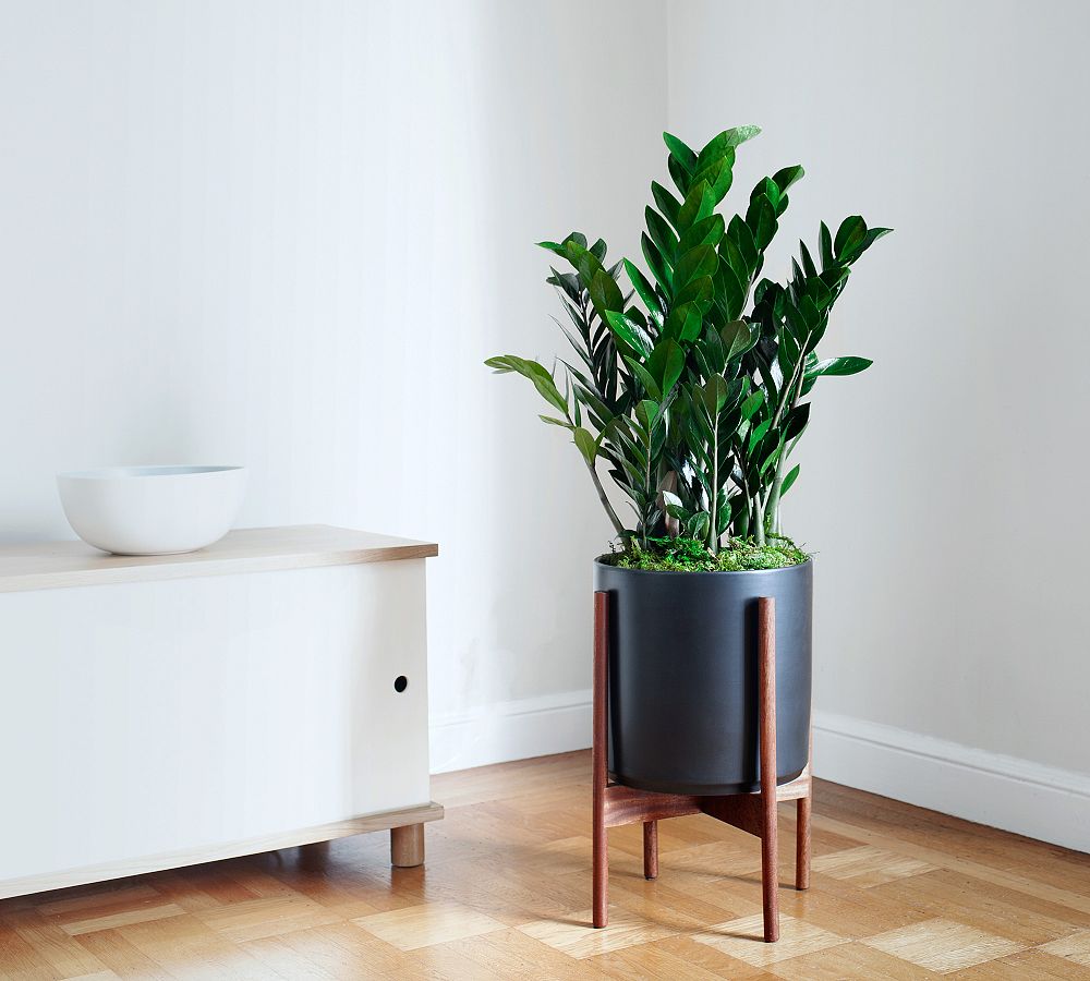 Modern Black Ceramic Indoor Planters with Wooden Stand